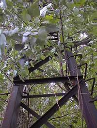 Noch heute (2005) ist auf Uffelner Seite der Mast für das Hochseil zu sehen, wenn auch gut versteckt im Laub eines Baumes